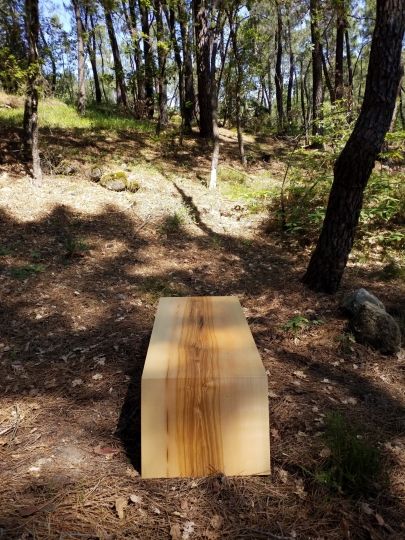 Table basse contemporaine - détail du bois massif en frêne olivier